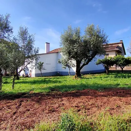 Casa Francelina - Pousaflores, Ansiao Carregal (Leiria)